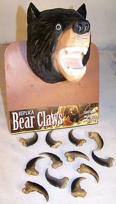 36 Black Bear Replica Claws Bears Nails Wild Animal Claw Lot New Items Pendant